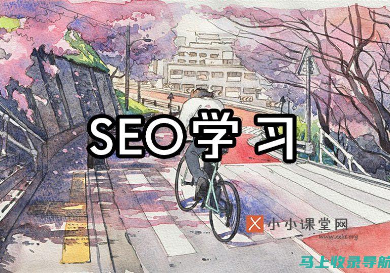 SEO入门不求人！基础视频教程手把手教你玩转SEO